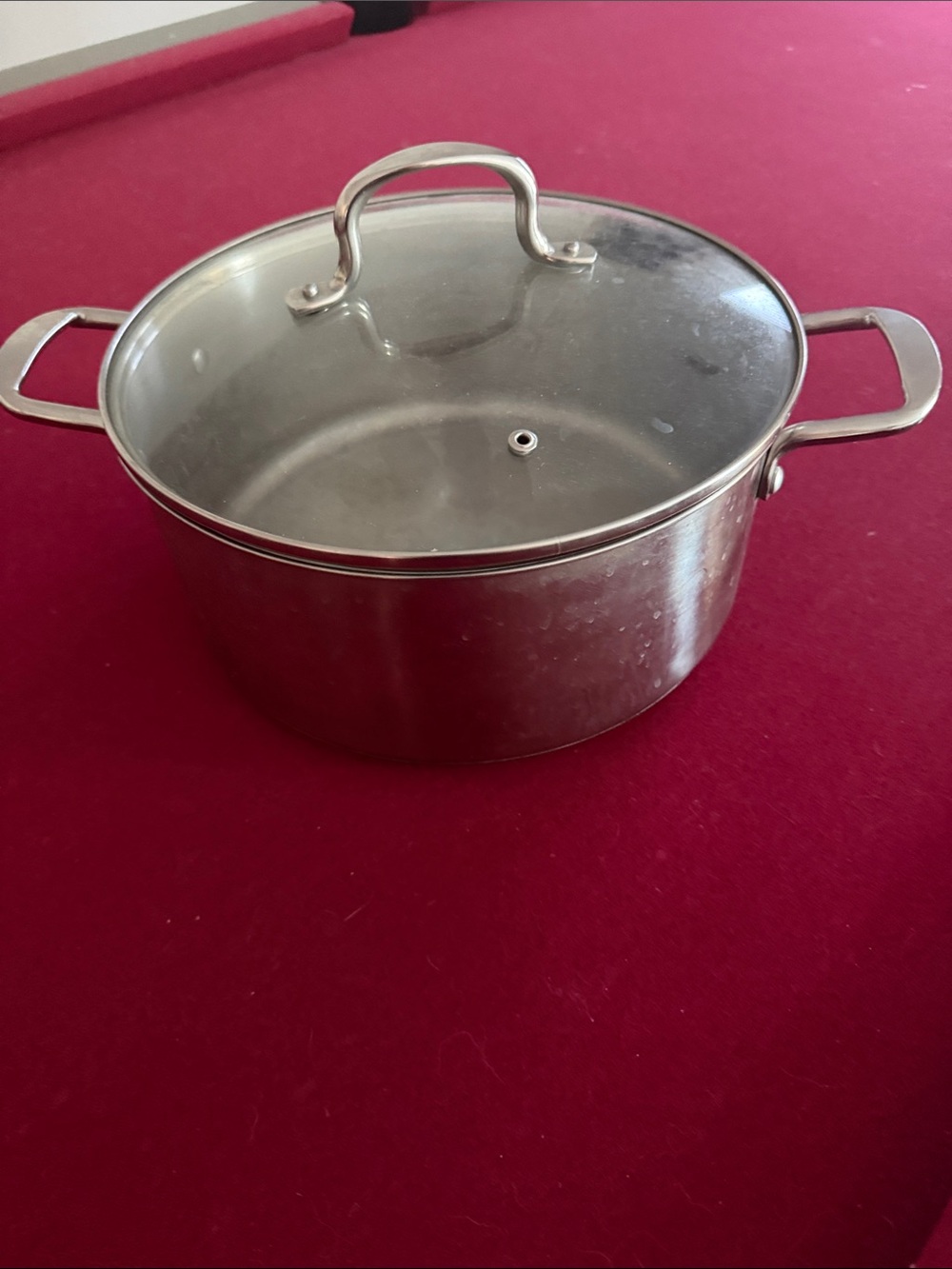 Stainless Steel Covered Stockpot - Silver